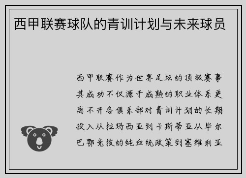 西甲联赛球队的青训计划与未来球员